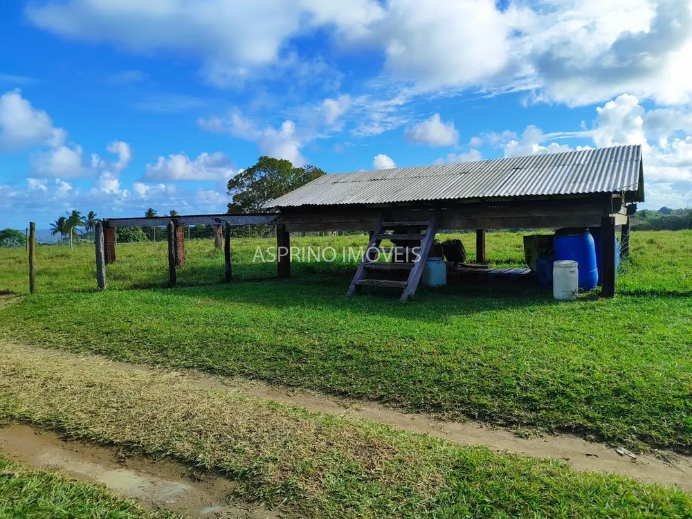 Fazenda, 19 hectares - Foto 11