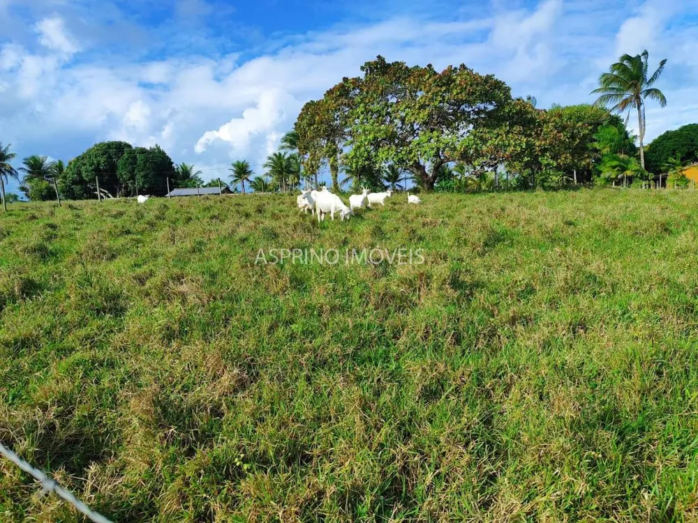 Fazenda, 19 hectares - Foto 7