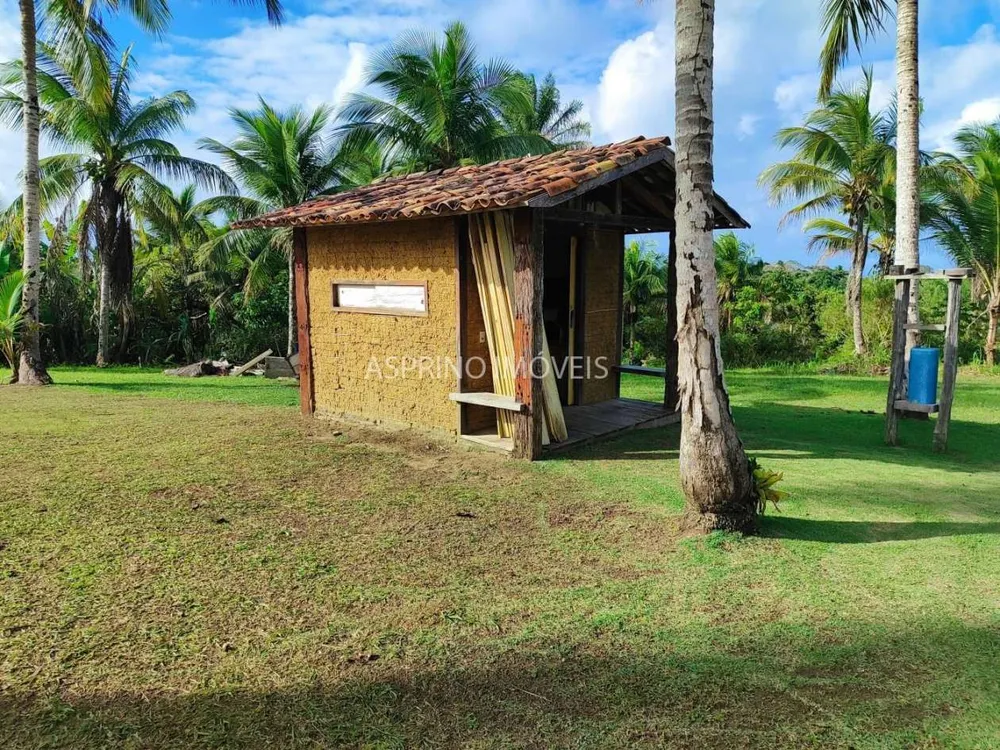 Fazenda, 19 hectares - Foto 10