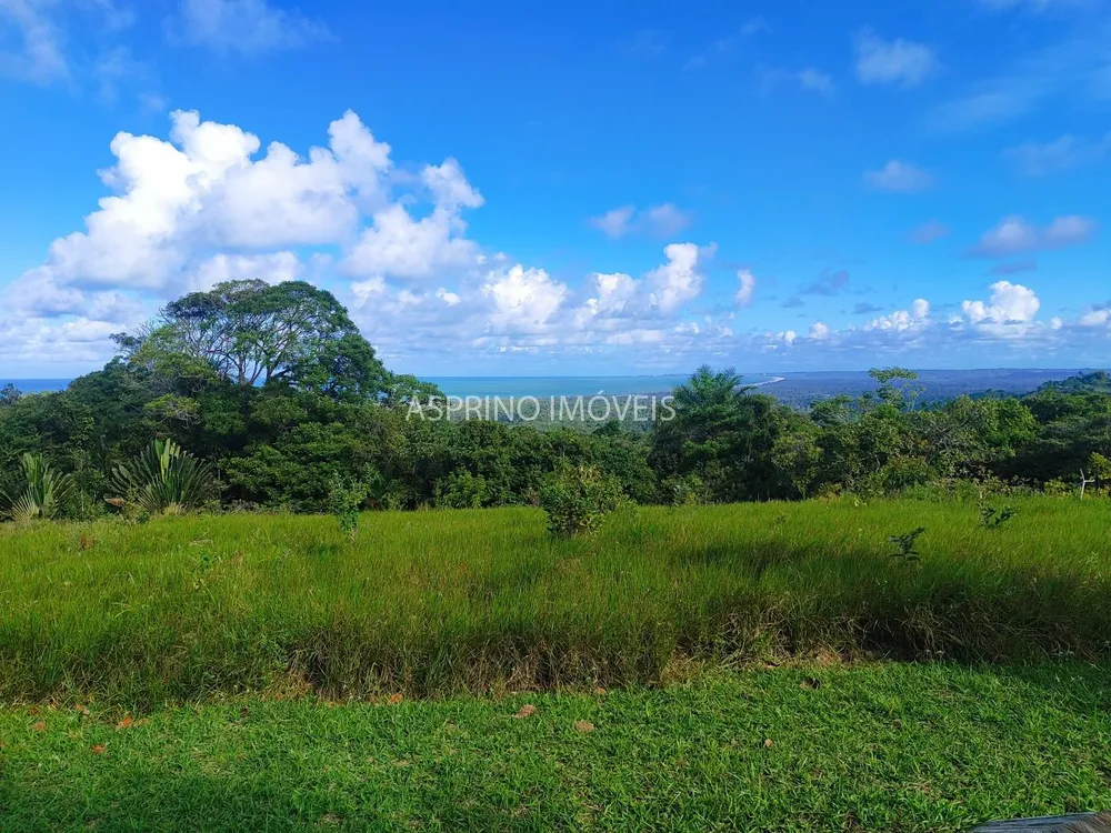 Fazenda, 19 hectares - Foto 4