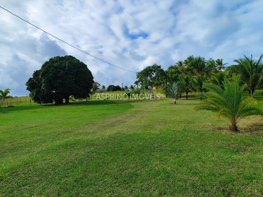 Fazenda, 19 hectares - Foto 12