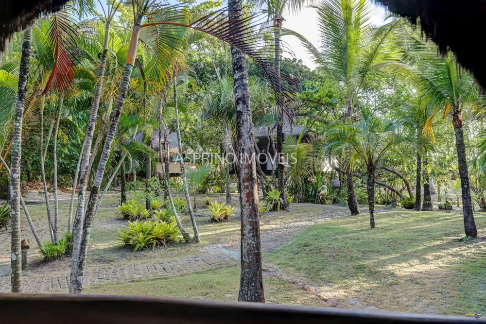 Terreno, 7 hectares - Foto 4