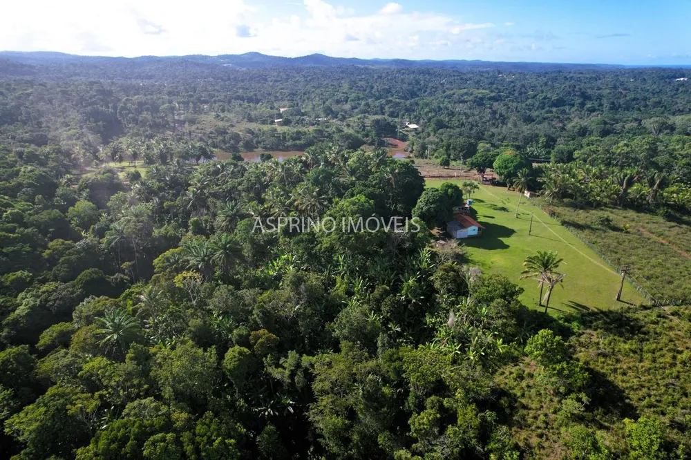 Chácara, 3 quartos, 5 hectares - Foto 6