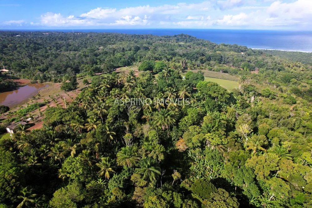 Chácara, 3 quartos, 5 hectares - Foto 8