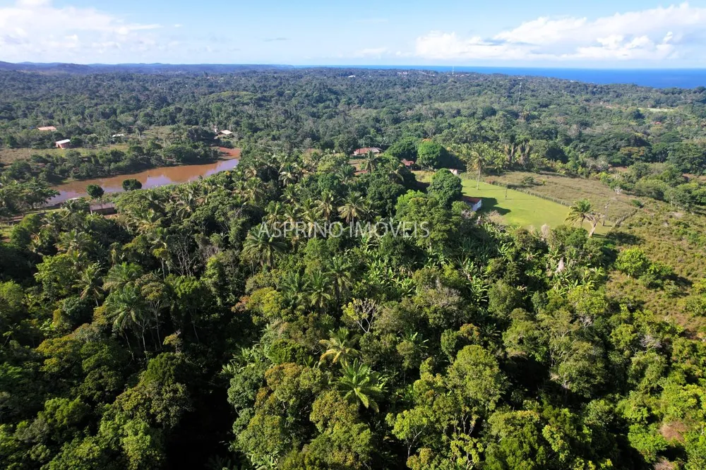 Chácara, 3 quartos, 5 hectares - Foto 7