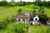 Fazenda-Sítio-Chácara, 106 hectares - Foto 3