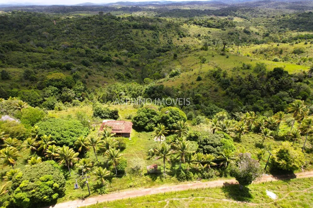 Fazenda, 45 hectares - Foto 6