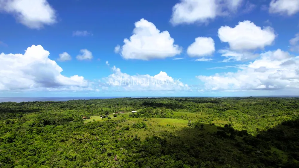 Fazenda, 45 hectares - Foto 8