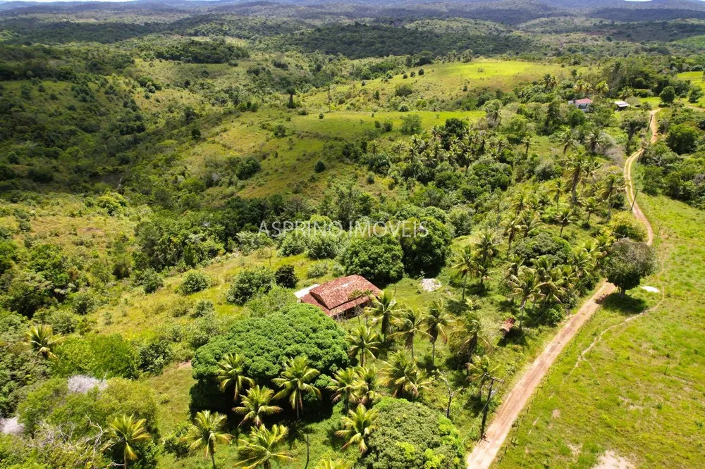 Fazenda, 45 hectares - Foto 1