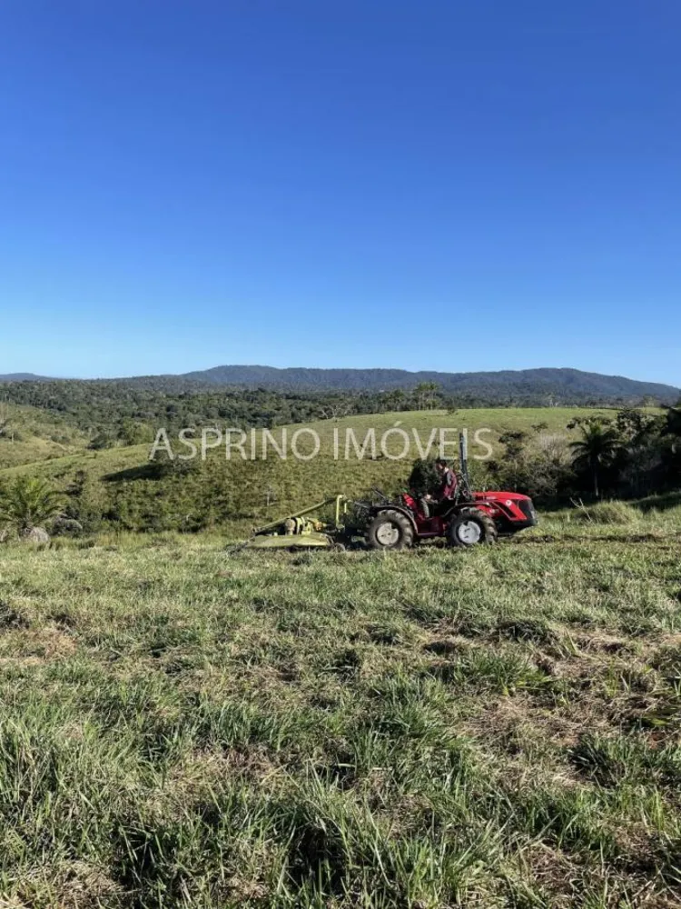 Fazenda, 45 hectares - Foto 11