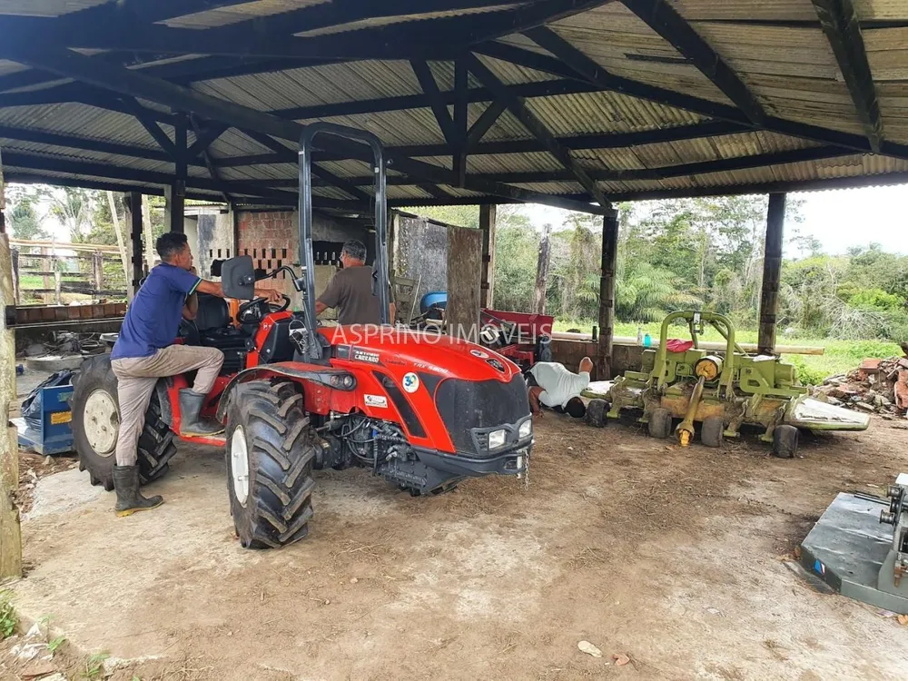 Fazenda, 45 hectares - Foto 13