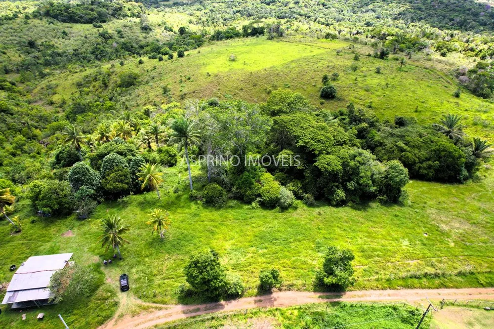 Fazenda, 45 hectares - Foto 4