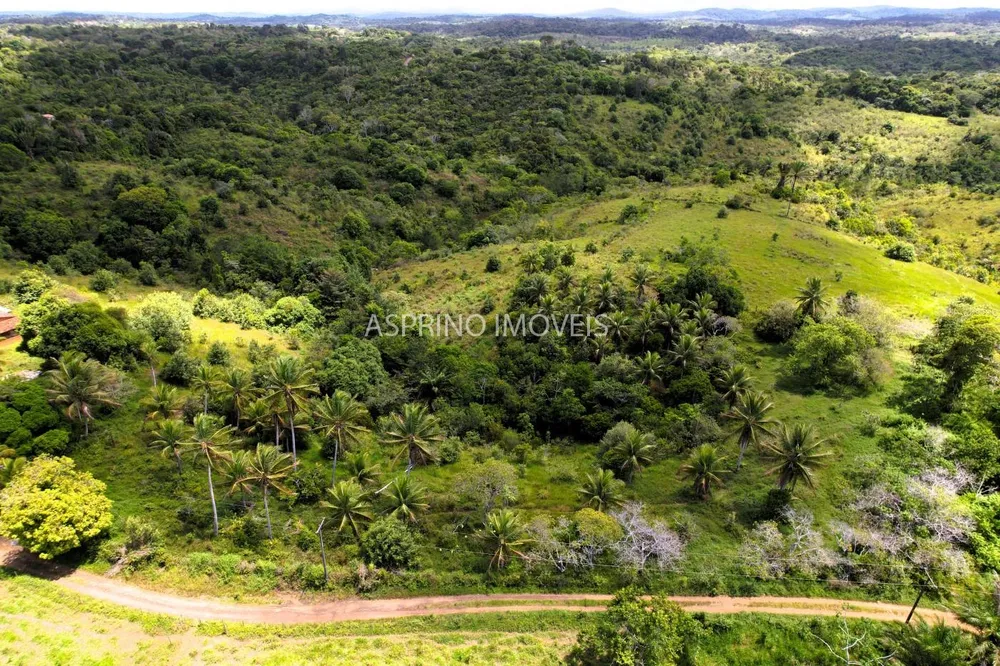 Fazenda, 45 hectares - Foto 7