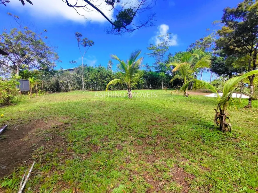 Sítio, 4 quartos, 6579 m² - Foto 2