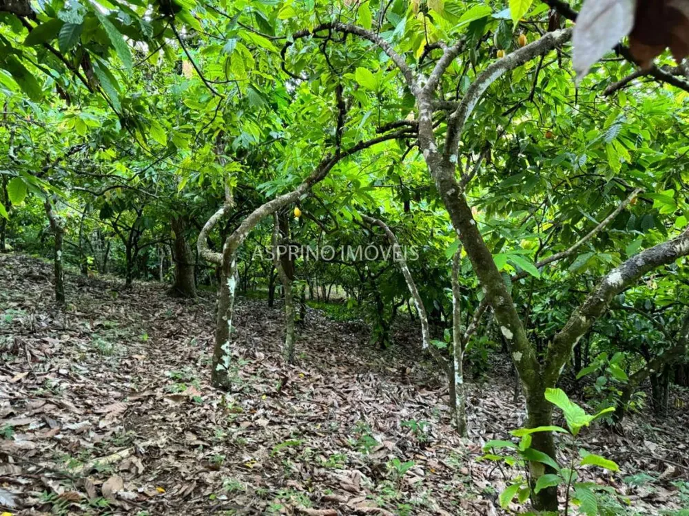Sítio, 1 quarto, 10 hectares - Foto 7