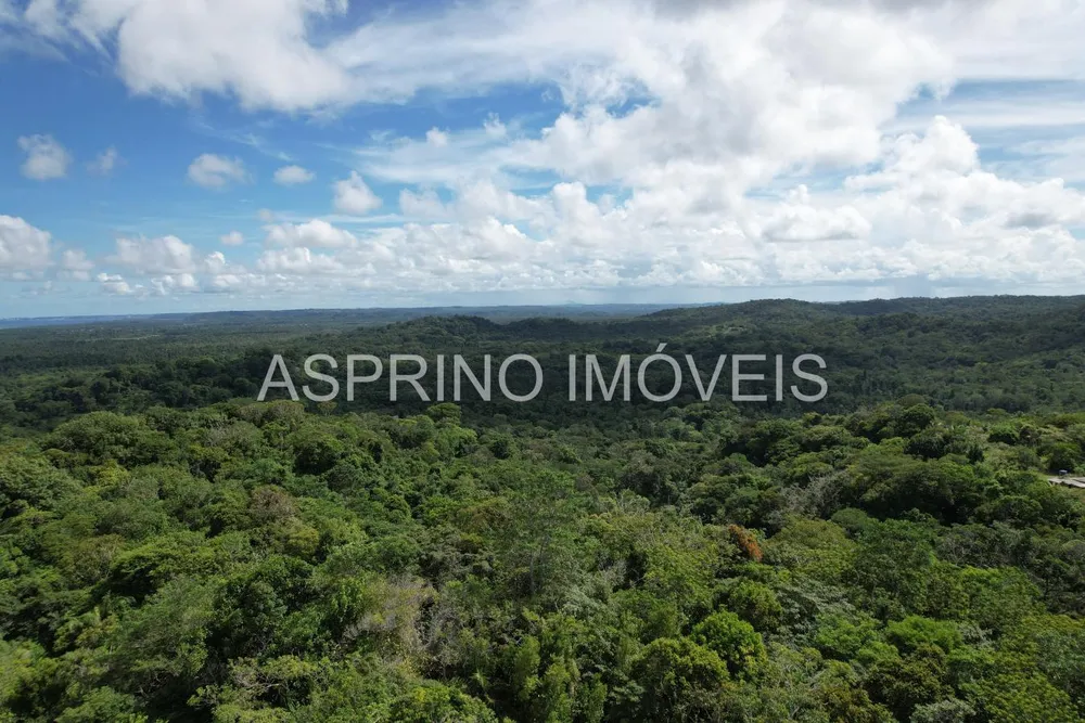 Sítio, 18 hectares - Foto 10