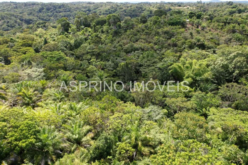 Sítio, 18 hectares - Foto 12
