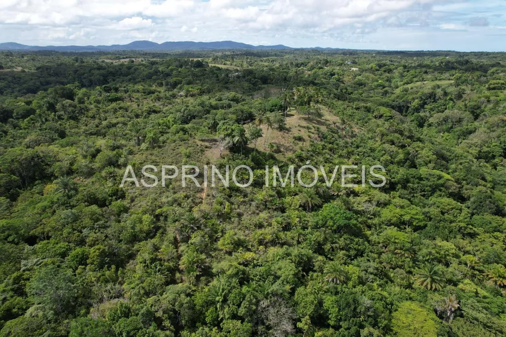 Sítio, 18 hectares - Foto 2