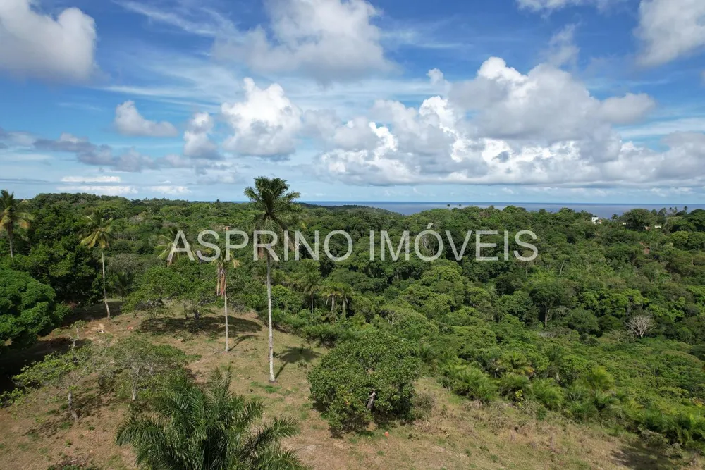 Sítio, 18 hectares - Foto 4