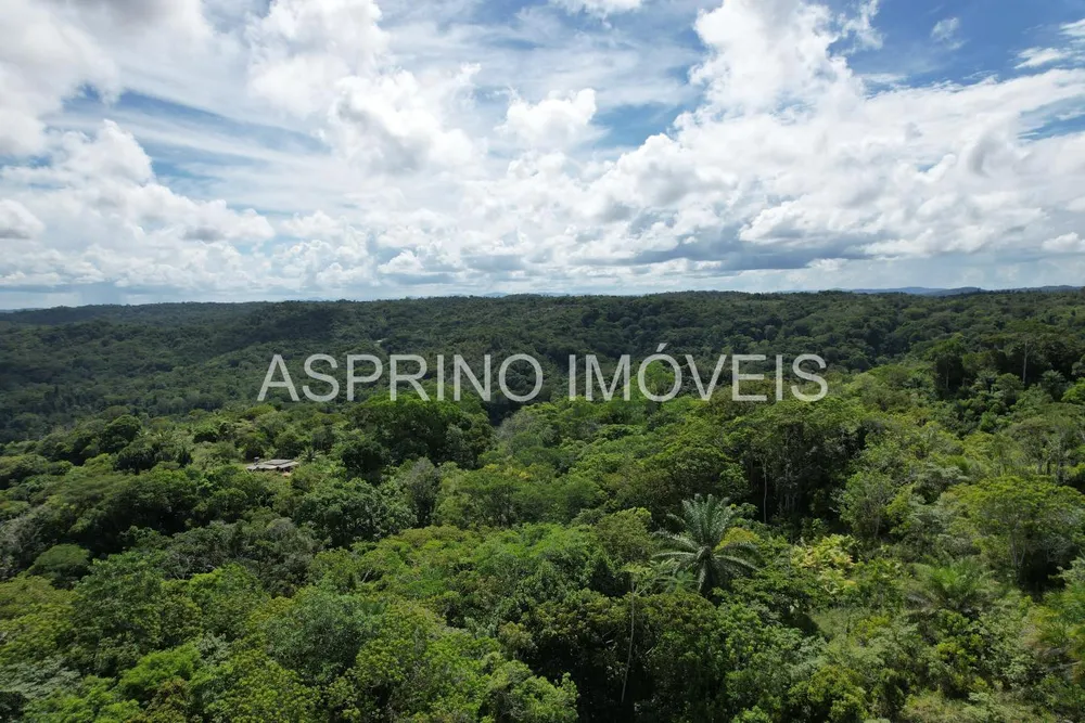 Sítio, 18 hectares - Foto 11