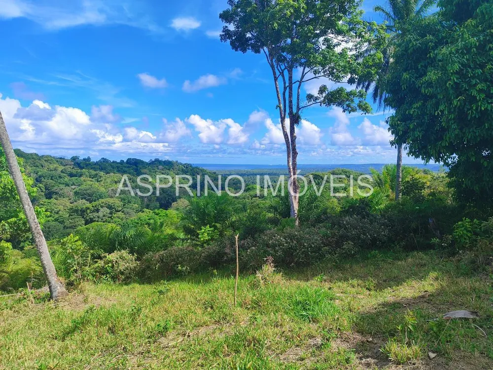Sítio, 18 hectares - Foto 1