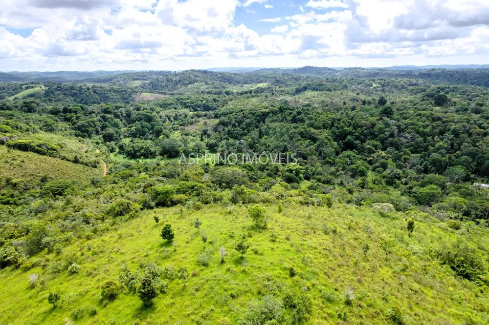 Fazenda, 52 hectares - Foto 7
