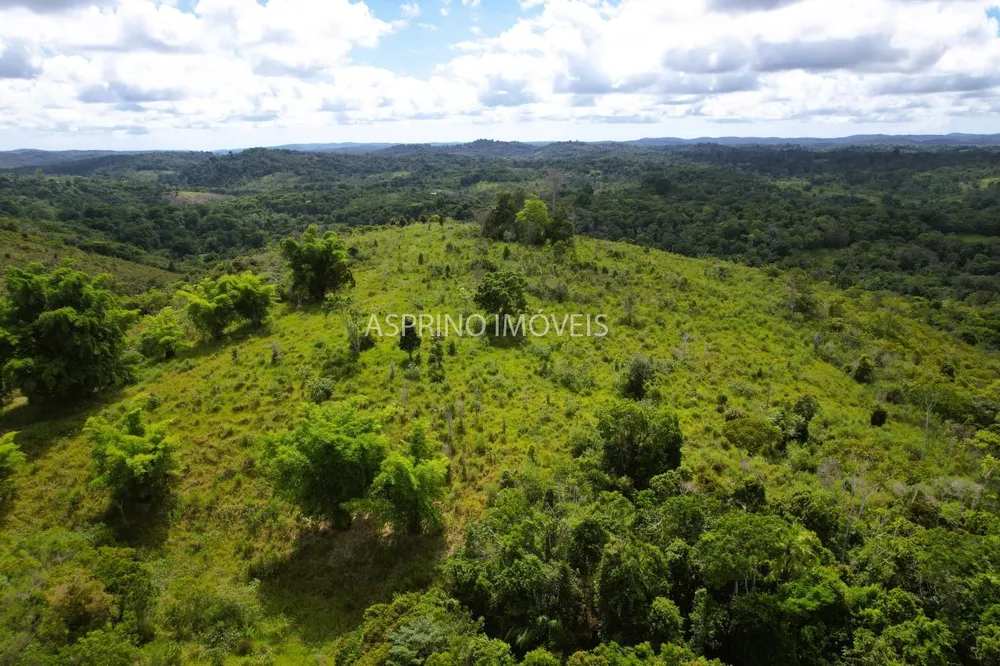 Fazenda, 52 hectares - Foto 9