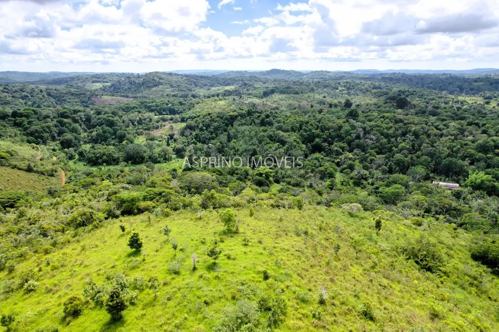 Fazenda, 52 hectares - Foto 8