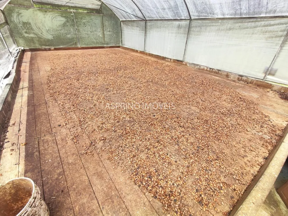 Fazenda, 52 hectares - Foto 11