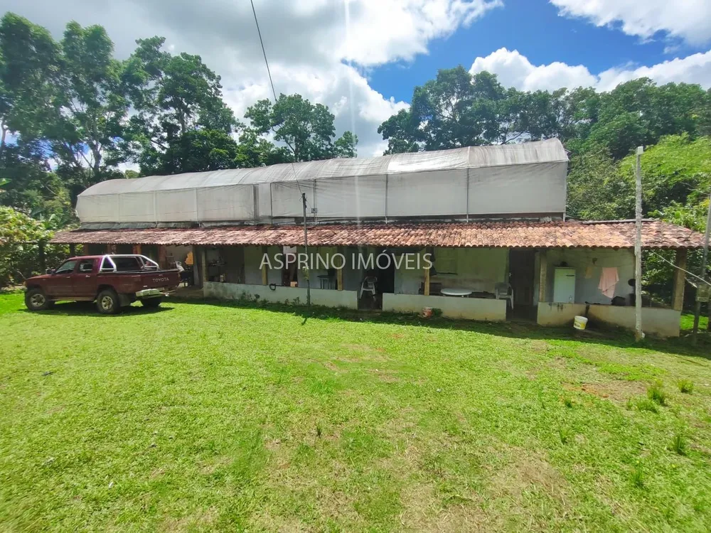 Fazenda, 52 hectares - Foto 10