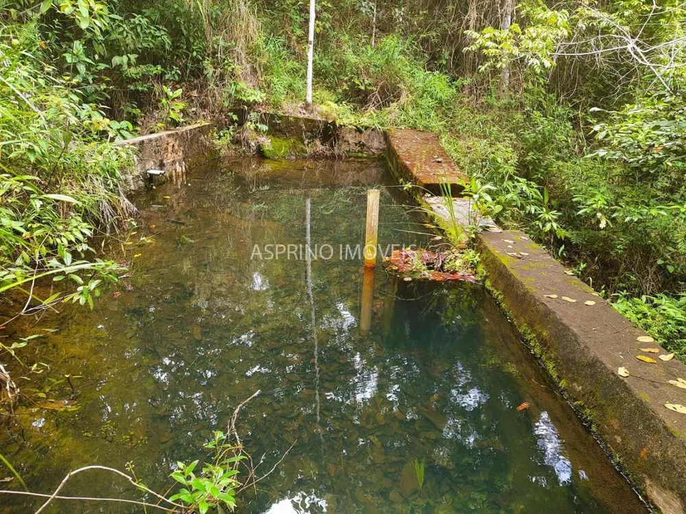 Terreno, 4 hectares - Foto 12