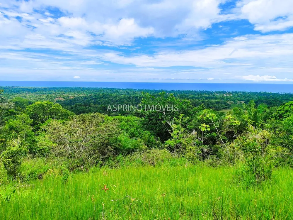 Terreno, 4 hectares - Foto 1