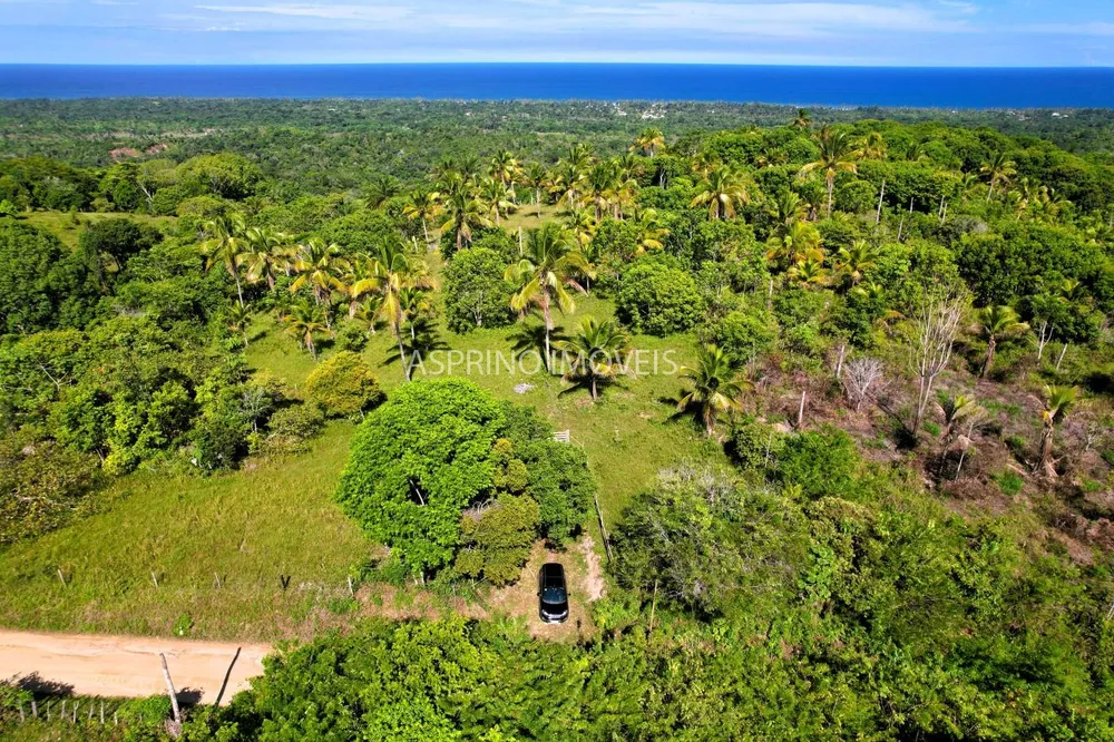 Terreno, 4 hectares - Foto 8