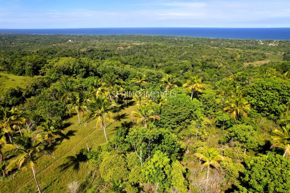 Terreno, 4 hectares - Foto 10