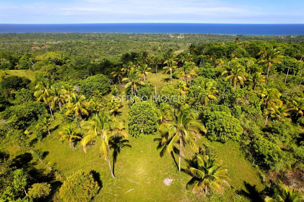 Terreno, 4 hectares - Foto 11