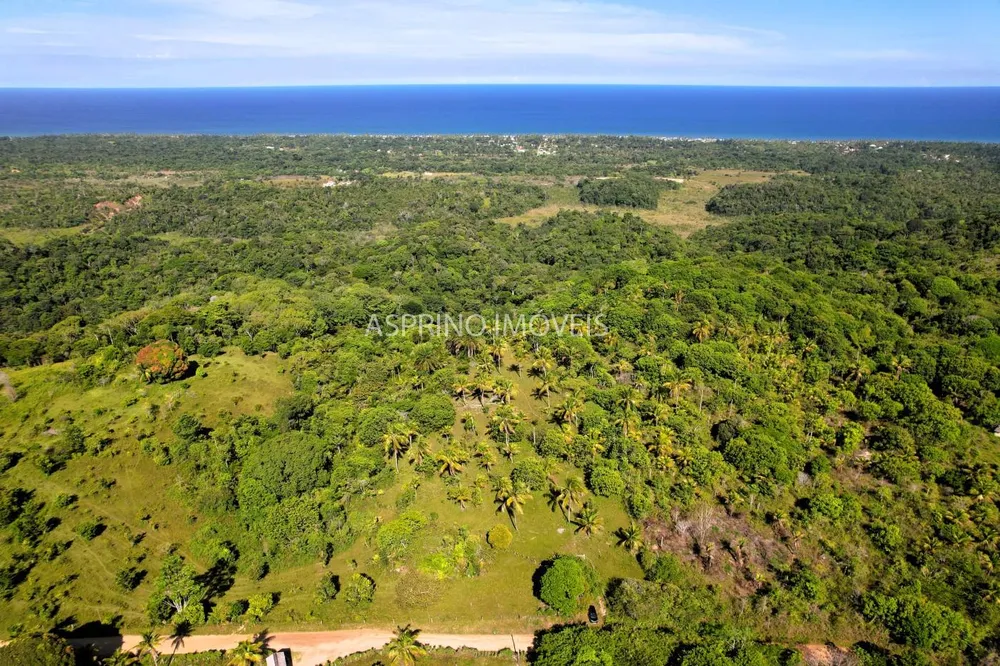 Terreno, 4 hectares - Foto 7