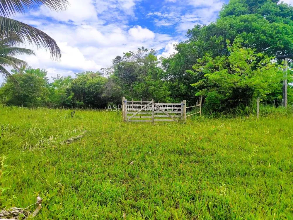 Terreno, 4 hectares - Foto 4
