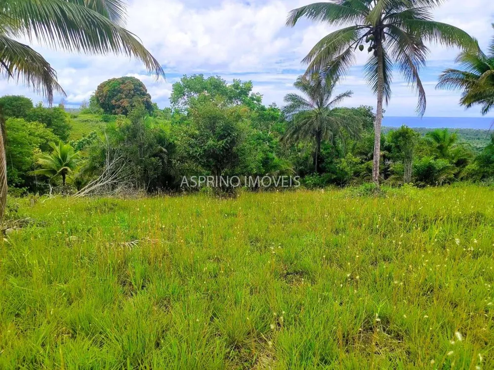 Terreno, 4 hectares - Foto 6