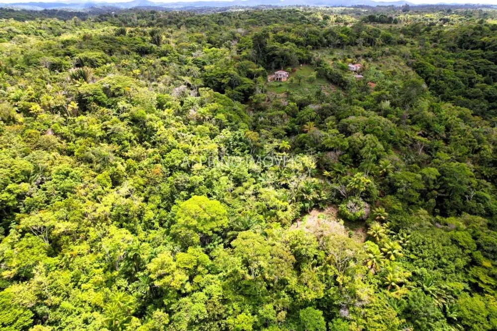 Sítio, 11 hectares - Foto 4