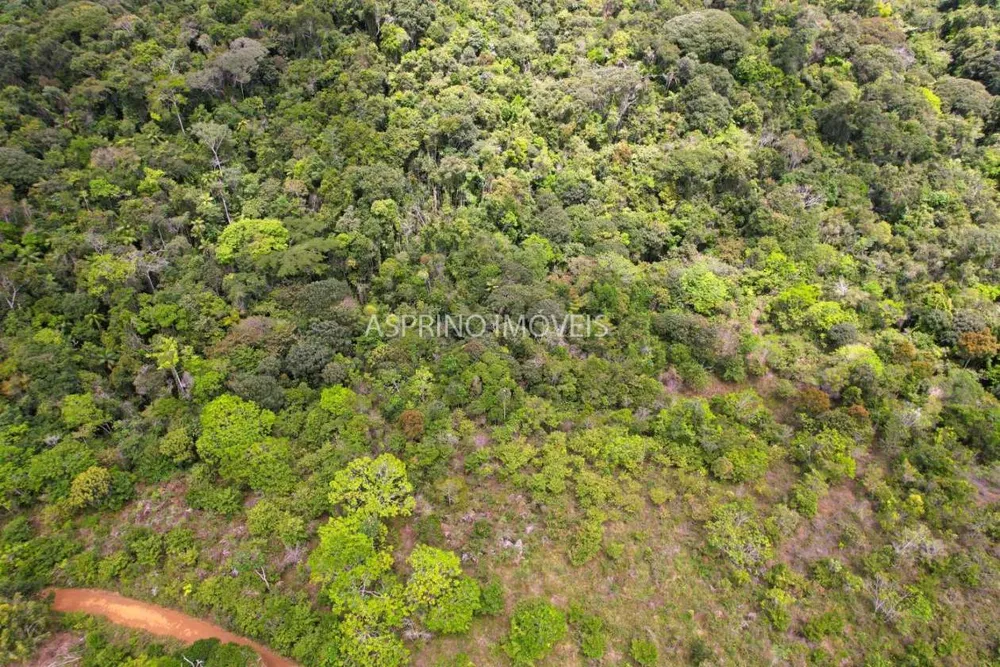 Terreno, 21 hectares - Foto 9