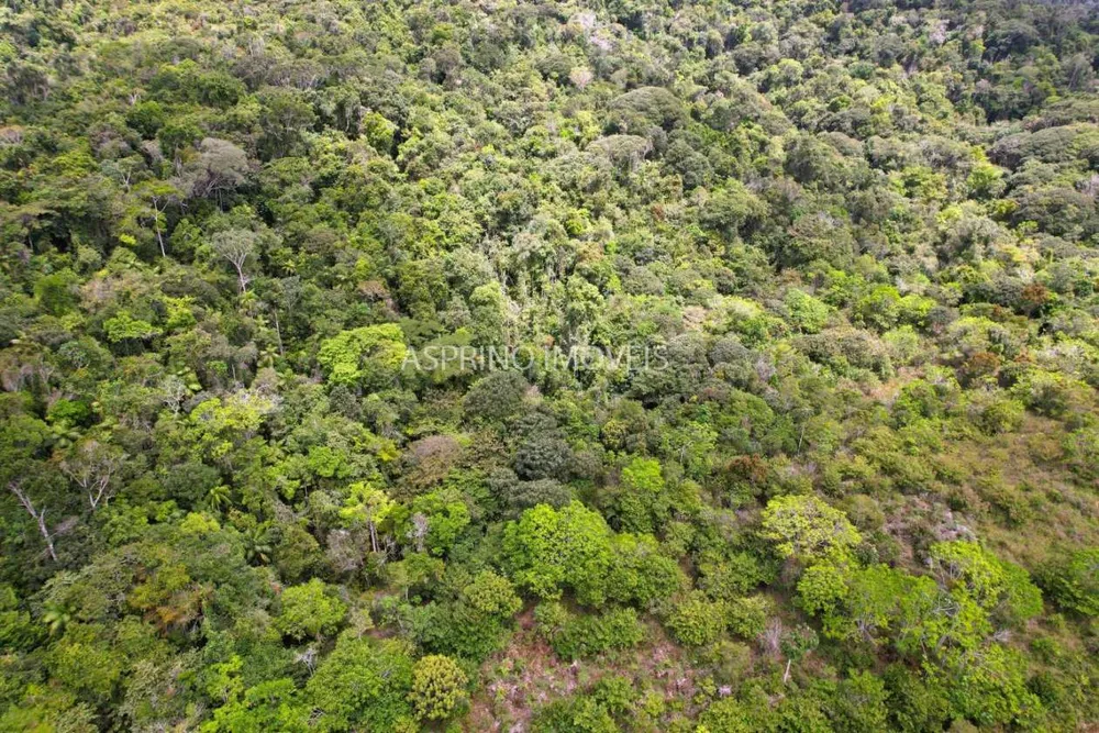 Terreno, 21 hectares - Foto 8