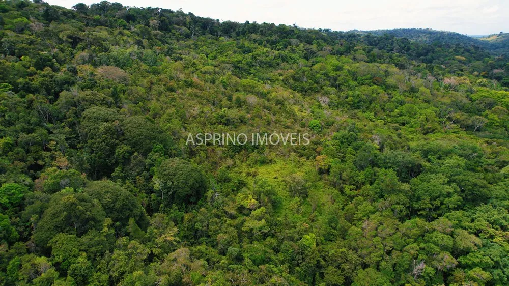 Terreno, 21 hectares - Foto 11