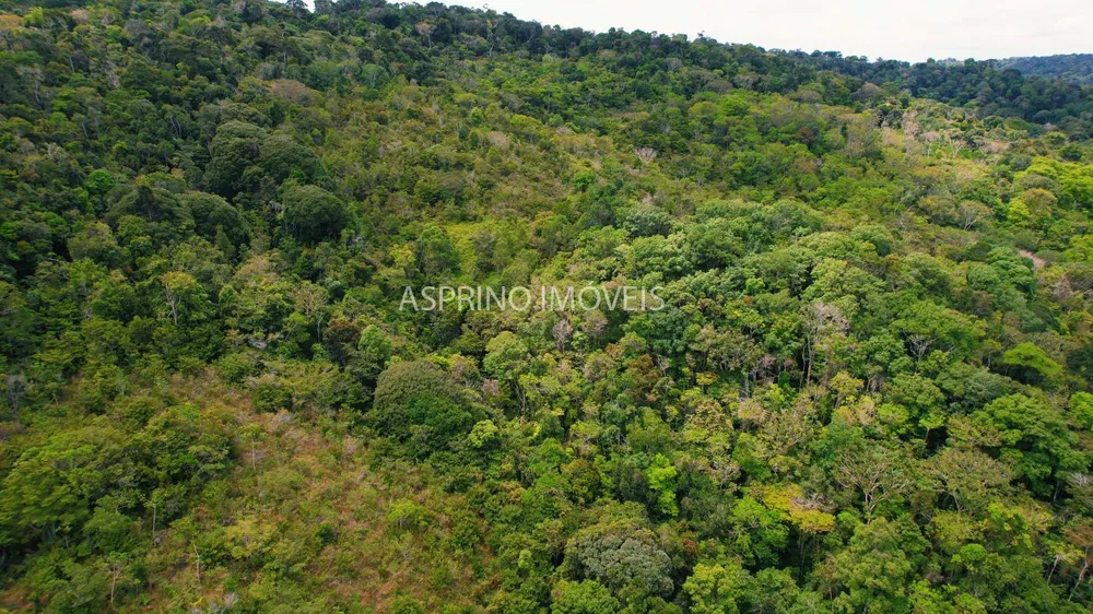 Terreno, 21 hectares - Foto 10