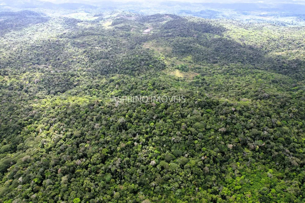 Terreno, 21 hectares - Foto 7
