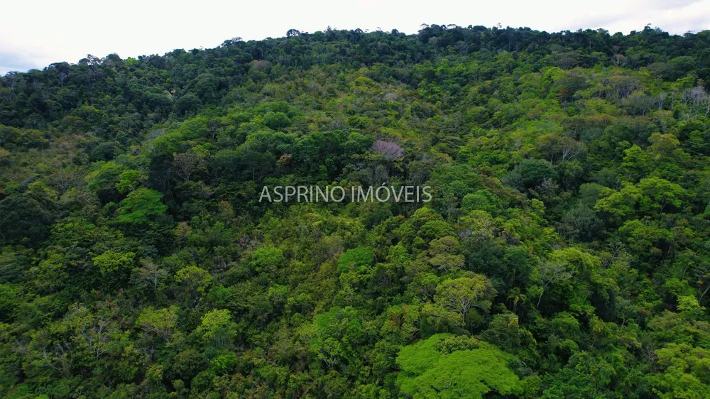 Terreno, 21 hectares - Foto 12