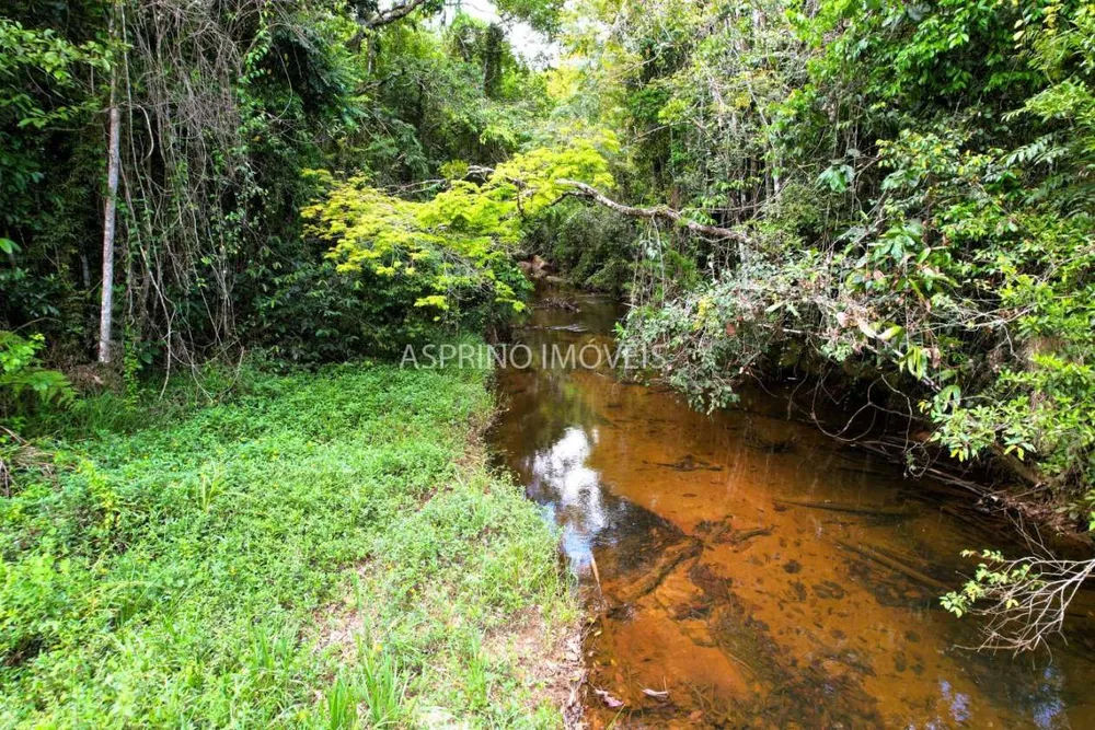 Terreno, 21 hectares - Foto 3