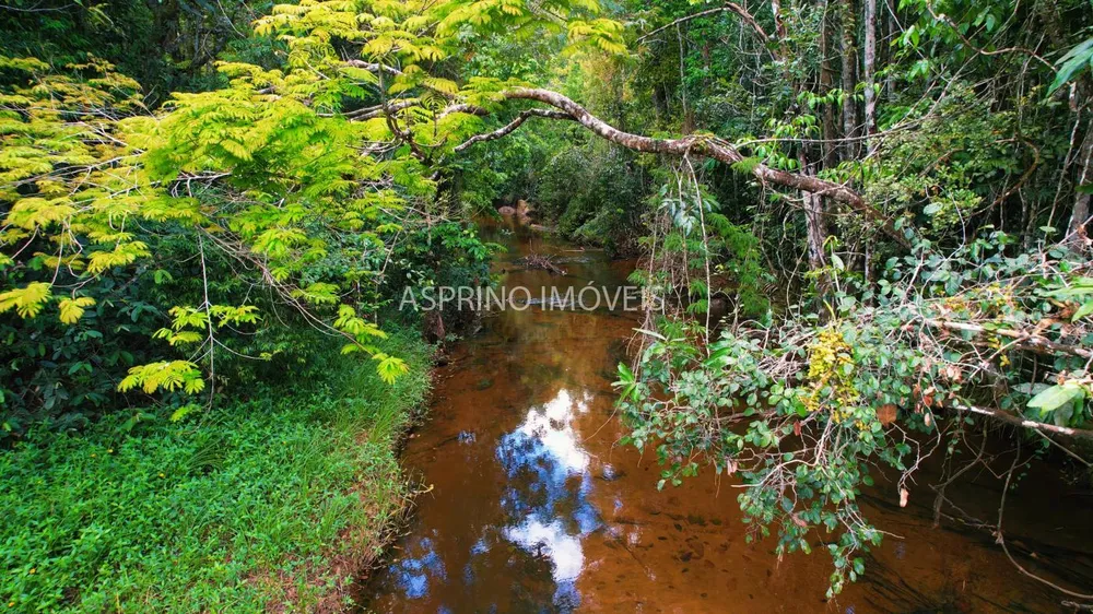 Terreno, 21 hectares - Foto 2