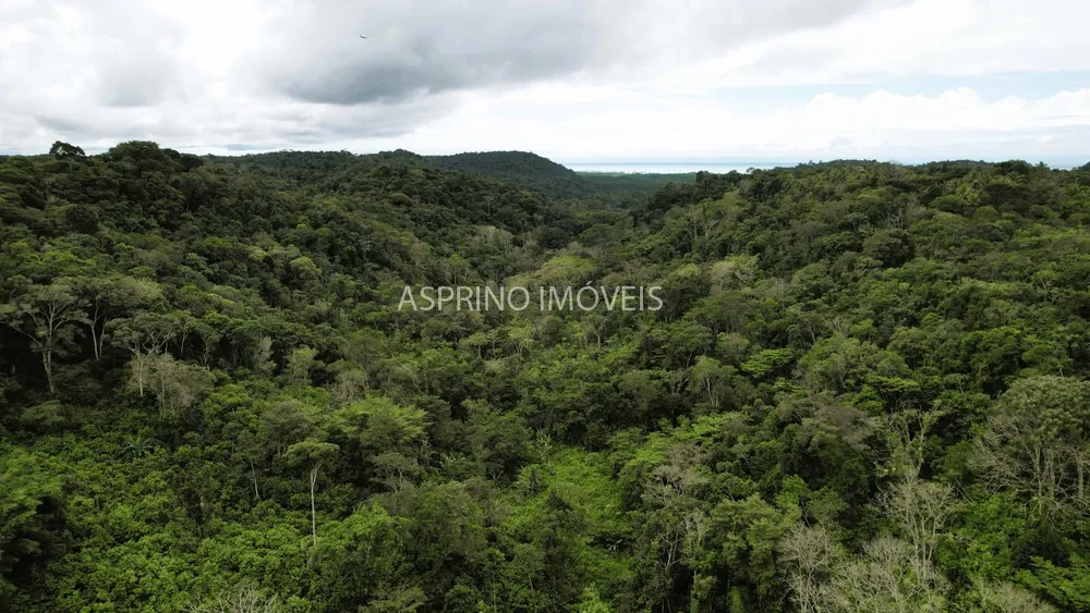 Terreno, 21 hectares - Foto 1
