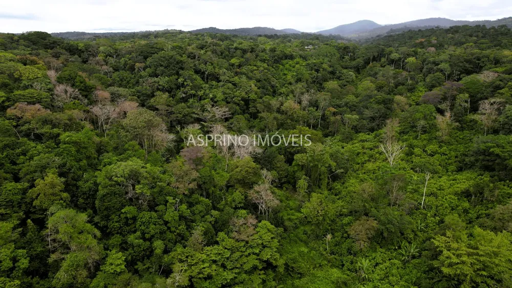 Terreno, 21 hectares - Foto 4