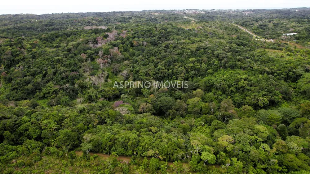 Terreno, 21 hectares - Foto 7